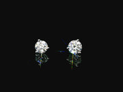 Platinum Lab-Grown Diamond Martini Studs 2.50CTW