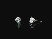 Platinum Lab-Grown Diamond Martini Studs 2.00CTW