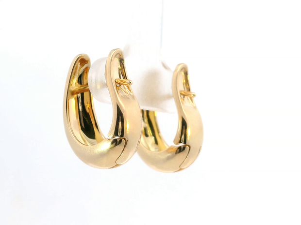 Teardrop Hoop Earrings