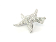 Starfish Brooch / Pendant