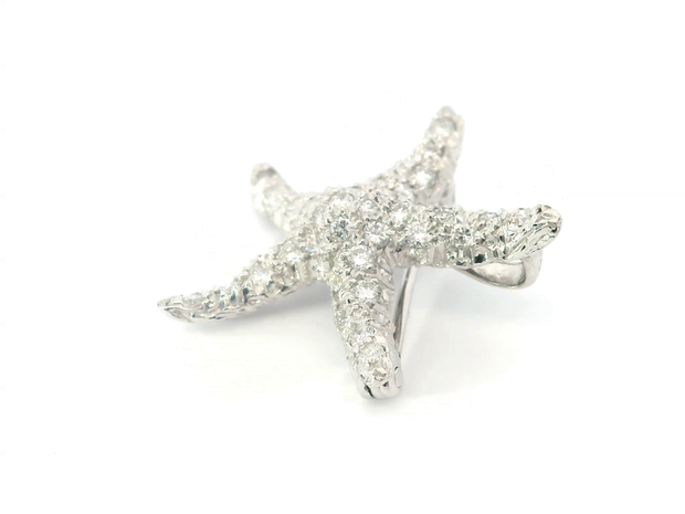 Starfish Brooch / Pendant