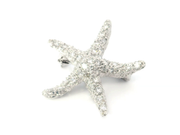 Starfish Brooch / Pendant