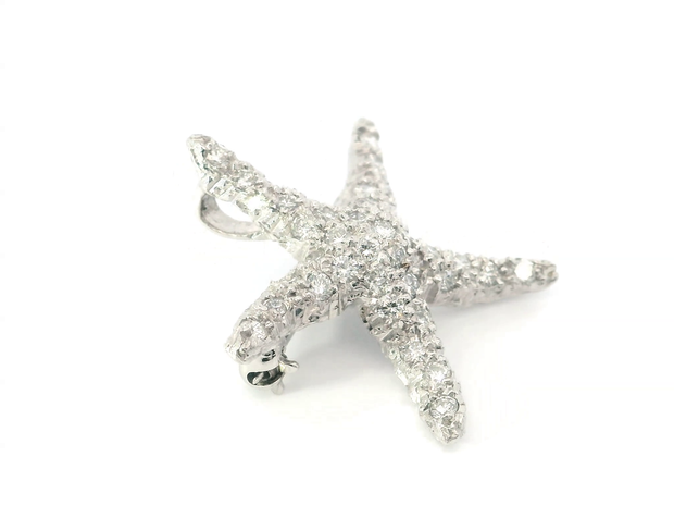 Starfish Brooch / Pendant