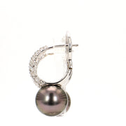 Lustrous Tahitian Pearl & Pave Diamond Hoop Drop Earrings