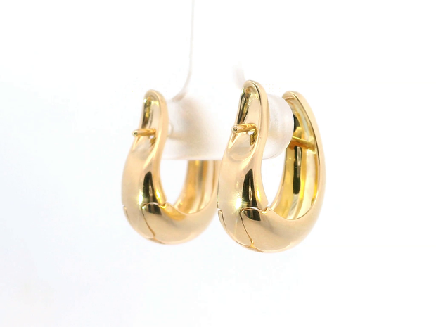 Teardrop Hoop Earrings